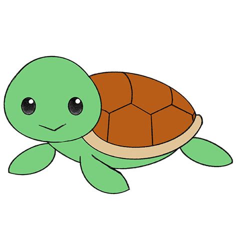 turtle images drawing|How To Draw A Cartoon Turtle .